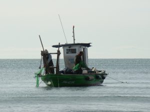 Fishing boat sacaba (2)